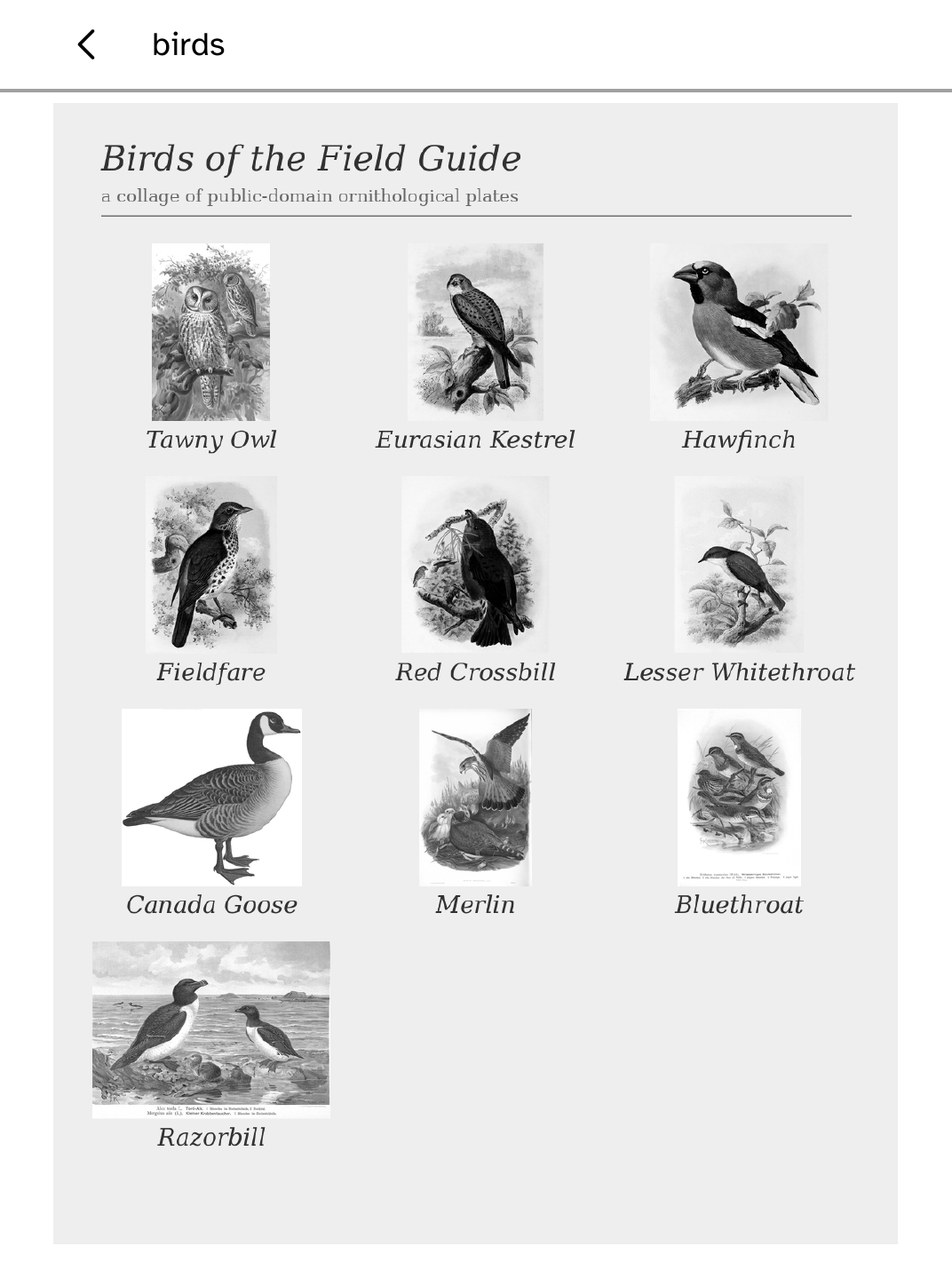 A labelled collage of public-domain bird plates filling a Kobo screen.