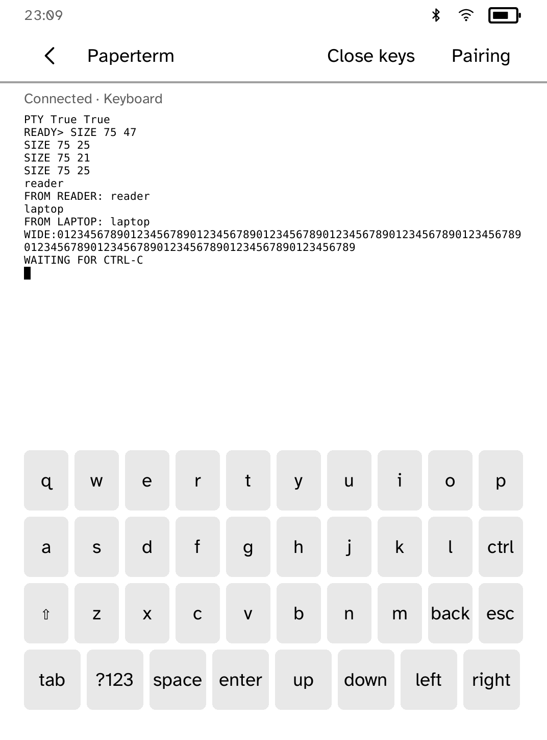 Paperterm pairing screen with computer address field and on-screen keyboard on a Kobo Clara BW.